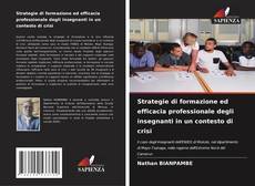 Copertina di Strategie di formazione ed efficacia professionale degli insegnanti in un contesto di crisi