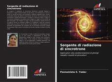 Обложка Sorgente di radiazione di sincrotrone