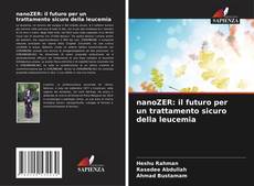 Bookcover of nanoZER: il futuro per un trattamento sicuro della leucemia