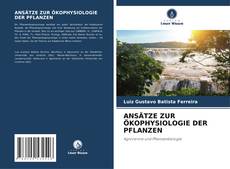 Buchcover von ANSÄTZE ZUR ÖKOPHYSIOLOGIE DER PFLANZEN