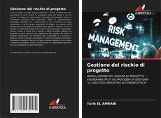 Copertina di Gestione del rischio di progetto