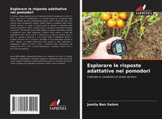 Esplorare le risposte adattative nei pomodori的封面
