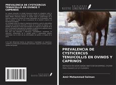 Copertina di PREVALENCIA DE CYSTICERCUS TENUICOLLIS EN OVINOS Y CAPRINOS