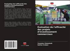 Copertina di Évaluation de l'efficacité des projets d'investissement commerciaux