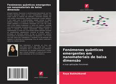 Fenómenos quânticos emergentes em nanomateriais de baixa dimensão的封面