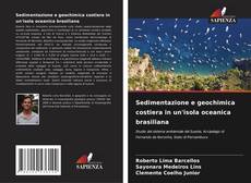 Couverture de Sedimentazione e geochimica costiera in un'isola oceanica brasiliana