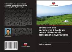 Estimation des paramètres à l'aide de points pilotes et de tomographie hydraulique的封面