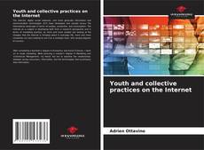 Borítókép a  Youth and collective practices on the Internet - hoz