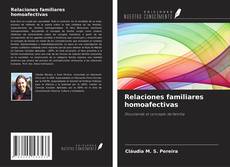 Relaciones familiares homoafectivas kitap kapağı