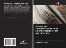 Buchcover von Visione per l'ottimizzazione delle aziende nazionali del gas naturale