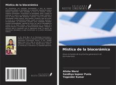 Buchcover von Mística de la biocerámica