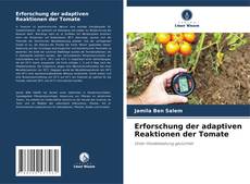 Capa do livro de Erforschung der adaptiven Reaktionen der Tomate 