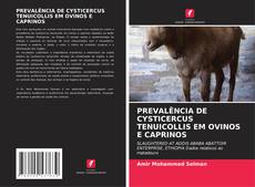 Buchcover von PREVALÊNCIA DE CYSTICERCUS TENUICOLLIS EM OVINOS E CAPRINOS