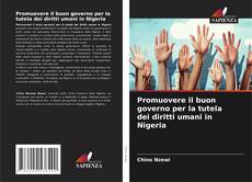 Copertina di Promuovere il buon governo per la tutela dei diritti umani in Nigeria