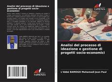 Обложка Analisi del processo di ideazione e gestione di progetti socio-economici