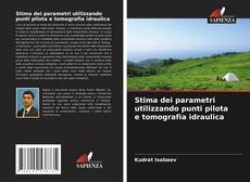 Capa do livro de Stima dei parametri utilizzando punti pilota e tomografia idraulica 