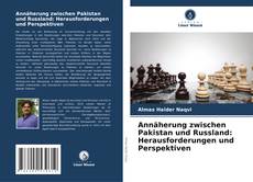 Annäherung zwischen Pakistan und Russland: Herausforderungen und Perspektiven的封面