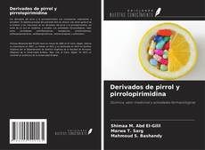 Buchcover von Derivados de pirrol y pirrolopirimidina