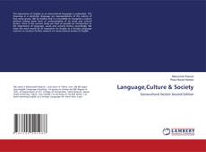 Language,Culture & Society的封面
