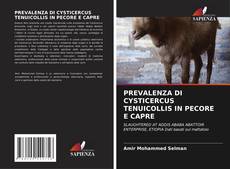 Buchcover von PREVALENZA DI CYSTICERCUS TENUICOLLIS IN PECORE E CAPRE