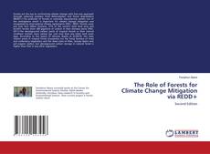 Couverture de The Role of Forests for Climate Change Mitigation via REDD+
