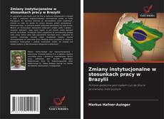 Buchcover von Zmiany instytucjonalne w stosunkach pracy w Brazylii