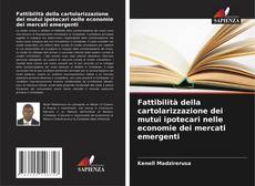 Copertina di Fattibilità della cartolarizzazione dei mutui ipotecari nelle economie dei mercati emergenti