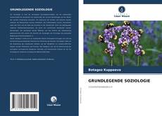 GRUNDLEGENDE SOZIOLOGIE kitap kapağı