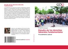 Copertina di Estudio de los derechos laborales fundamentales