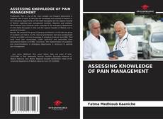 Bookcover of ASSESSING KNOWLEDGE OF PAIN MANAGEMENT