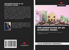 Buchcover von IMPLEMENTATION OF AN ECONOMIC MODEL