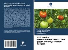 Wirksamkeit verschiedener Insektizide gegen Liriomyza trifolii Burgess的封面
