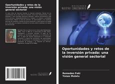 Copertina di Oportunidades y retos de la inversión privada: una visión general sectorial