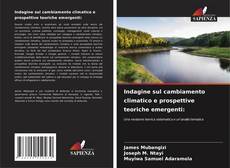 Capa do livro de Indagine sul cambiamento climatico e prospettive teoriche emergenti: 