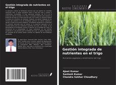Copertina di Gestión integrada de nutrientes en el trigo
