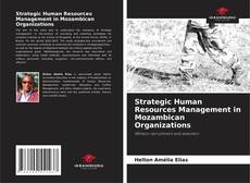Strategic Human Resources Management in Mozambican Organizations kitap kapağı