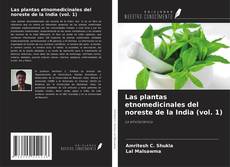 Copertina di Las plantas etnomedicinales del noreste de la India (vol. 1)