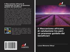 Buchcover von Il Meccanismo africano di valutazione tra pari: un processo guidato dai beneficiari