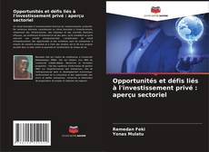 Capa do livro de Opportunités et défis liés à l'investissement privé : aperçu sectoriel 