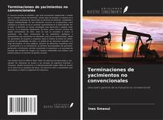 Buchcover von Terminaciones de yacimientos no convencionales