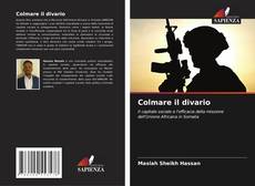 Обложка Colmare il divario