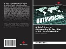 Bookcover of A Brief Study of Outsourcing in Brazilian Public Administration
