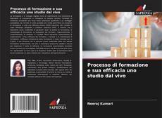 Borítókép a  Processo di formazione e sua efficacia uno studio dal vivo - hoz