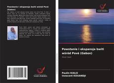 Copertina di Powstanie i ekspansja bwiti wśród Pové (Gabon)