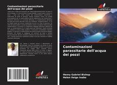 Buchcover von Contaminazioni parassitarie dell'acqua dei pozzi