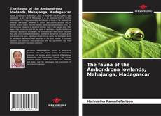 Borítókép a  The fauna of the Ambondrona lowlands, Mahajanga, Madagascar - hoz
