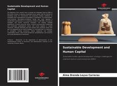 Borítókép a  Sustainable Development and Human Capital - hoz