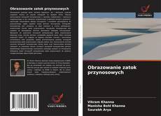 Buchcover von Obrazowanie zatok przynosowych