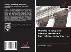 Copertina di Działanie polegające na przejęciu posiadania w brazylijskim porządku prawnym