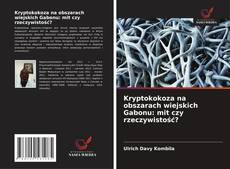 Buchcover von Kryptokokoza na obszarach wiejskich Gabonu: mit czy rzeczywistość?